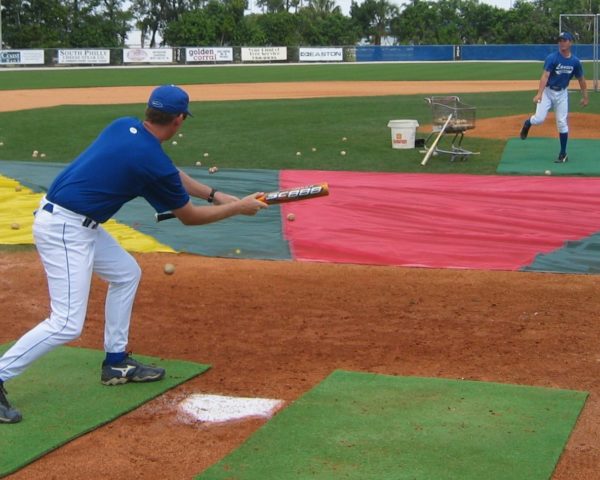 Bunt Zone® Infield Protector Trainer