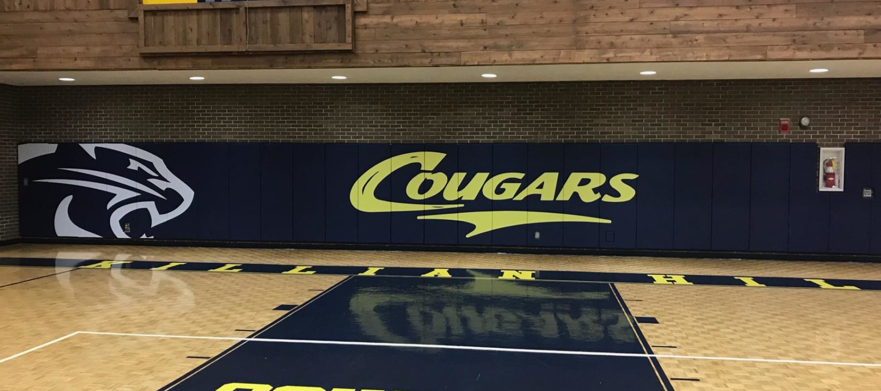 Aer-Cushion® Indoor Wall Pads